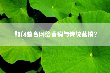 如何整合网络营销与传统营销？