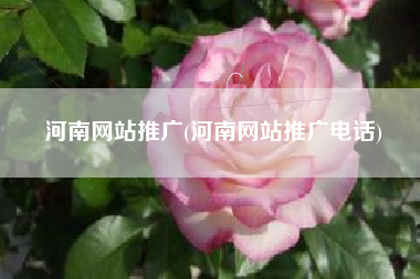 河南网站推广(河南网站推广电话)