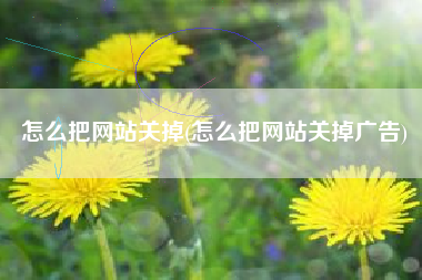 怎么把网站关掉(怎么把网站关掉广告)