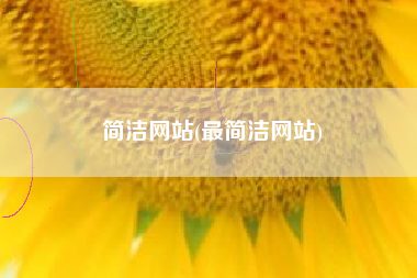 简洁网站(最简洁网站)