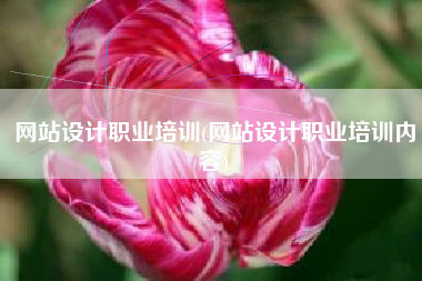 网站设计职业培训(网站设计职业培训内容)