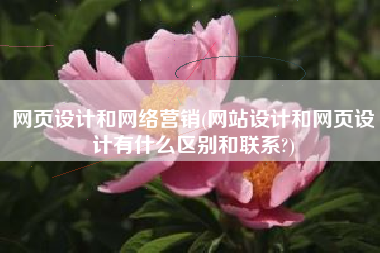 网页设计和网络营销(网站设计和网页设计有什么区别和联系?)