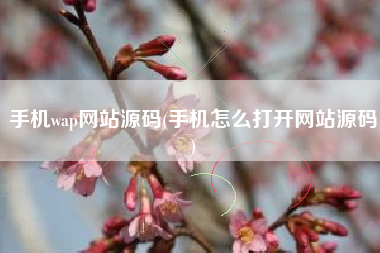 手机wap网站源码(手机怎么打开网站源码)
