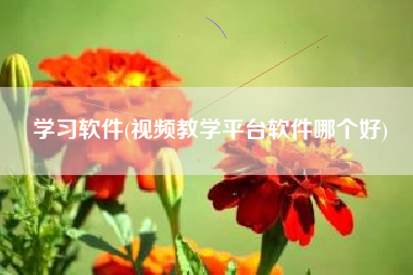 学习软件(视频教学平台软件哪个好)