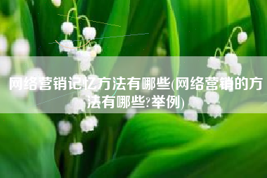 网络营销记忆方法有哪些(网络营销的方法有哪些?举例)
