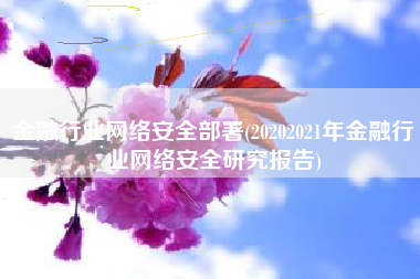 金融行业网络安全部署(20202021年金融行业网络安全研究报告)