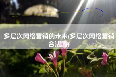 多层次网络营销的未来(多层次网络营销合法吗)