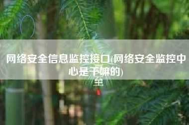 网络安全信息监控接口(网络安全监控中心是干嘛的)