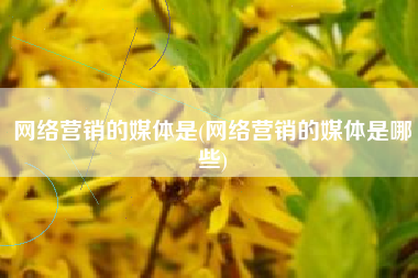 网络营销的媒体是(网络营销的媒体是哪些)