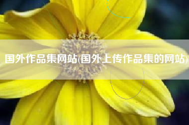 国外作品集网站(国外上传作品集的网站)