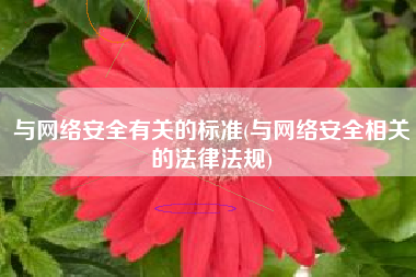 与网络安全有关的标准(与网络安全相关的法律法规)