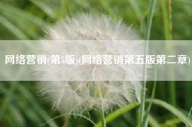 网络营销(第5版)(网络营销第五版第二章)