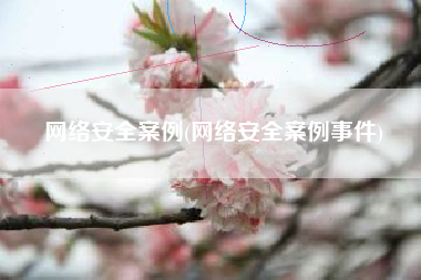 网络安全案例(网络安全案例事件)