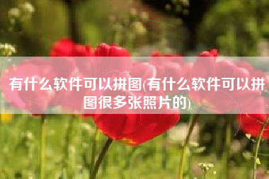 有什么软件可以拼图(有什么软件可以拼图很多张照片的)