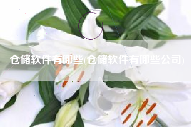 仓储软件有哪些(仓储软件有哪些公司)
