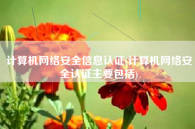 计算机网络安全信息认证(计算机网络安全认证主要包括)