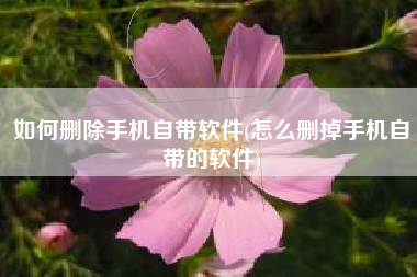 如何删除手机自带软件(怎么删掉手机自带的软件)