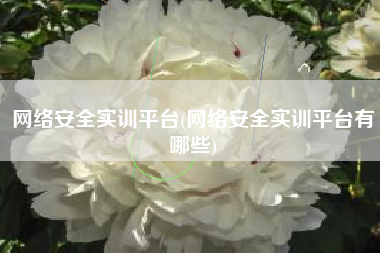 网络安全实训平台(网络安全实训平台有哪些)