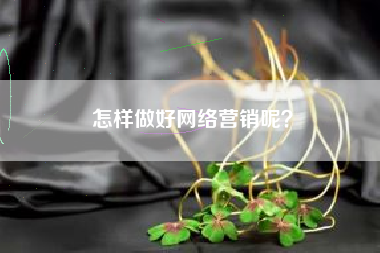 怎样做好网络营销呢？