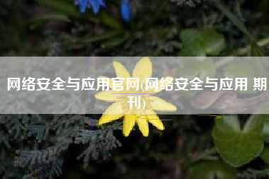 网络安全与应用官网(网络安全与应用 期刊)