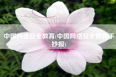 中国网络安全教育(中国网络安全教育手抄报)