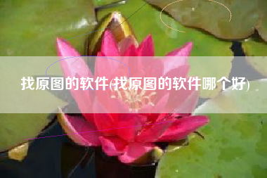 找原图的软件(找原图的软件哪个好)
