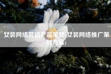 女装网络营销产品策略(女装网络推广策划方案)