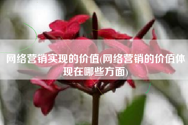网络营销实现的价值(网络营销的价值体现在哪些方面)