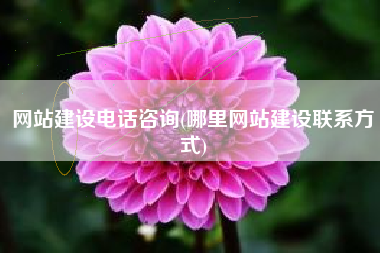 网站建设电话咨询(哪里网站建设联系方式)