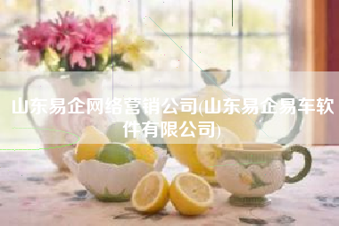 山东易企网络营销公司(山东易企易车软件有限公司)