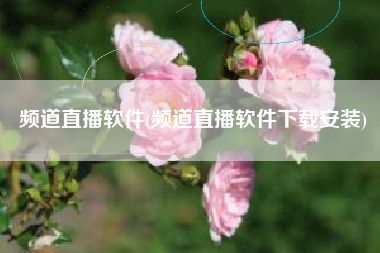 频道直播软件(频道直播软件下载安装)