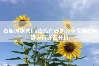 青旅网络营销(青旅在线的竞争优势和劣势进行详细分析)