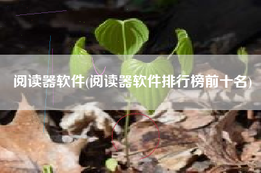 阅读器软件(阅读器软件排行榜前十名)