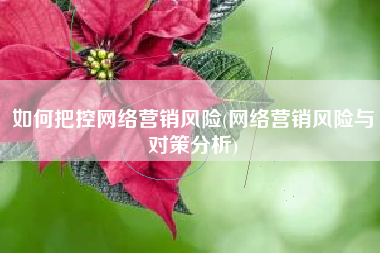 如何把控网络营销风险(网络营销风险与对策分析)