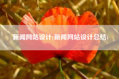 新闻网站设计(新闻网站设计总结)