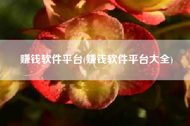 赚钱软件平台(赚钱软件平台大全)