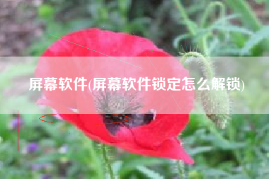 屏幕软件(屏幕软件锁定怎么解锁)