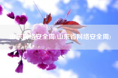山东网络安全周(山东省网络安全周)