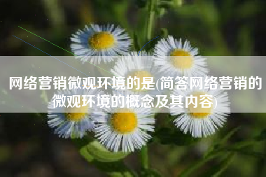 网络营销微观环境的是(简答网络营销的微观环境的概念及其内容)