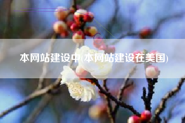 本网站建设中(本网站建设在美国)