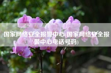 国家网络安全报警中心(国家网络安全报警中心电话号码)