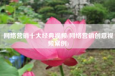 网络营销十大经典视频(网络营销创意视频案例)