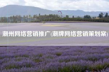 潮州网络营销推广(潮牌网络营销策划案)