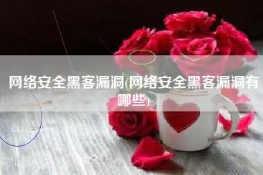 网络安全黑客漏洞(网络安全黑客漏洞有哪些)