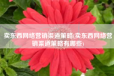 卖东西网络营销渠道策略(卖东西网络营销渠道策略有哪些)