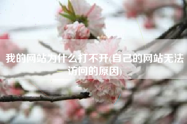 我的网站为什么打不开(自己的网站无法访问的原因)