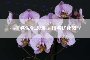 seo排名优化培训 seo排名优化教学