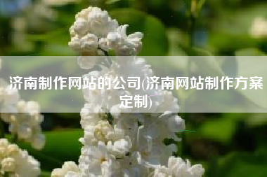 济南制作网站的公司(济南网站制作方案定制)