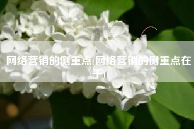 网络营销的侧重点(网络营销的侧重点在于)