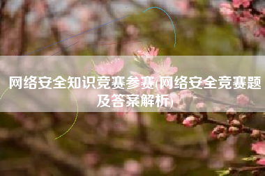 网络安全知识竞赛参赛(网络安全竞赛题及答案解析)